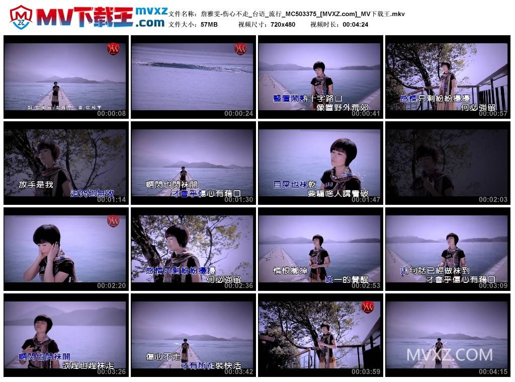 詹雅雯-伤心不走_台语_流行_MC503375